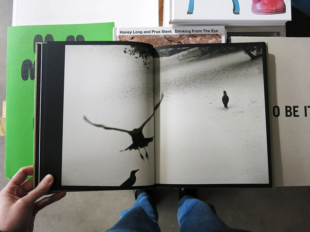 PRE-ORDER: Kyunghee Lee – On Birds (Des oiseaux) - Image 3