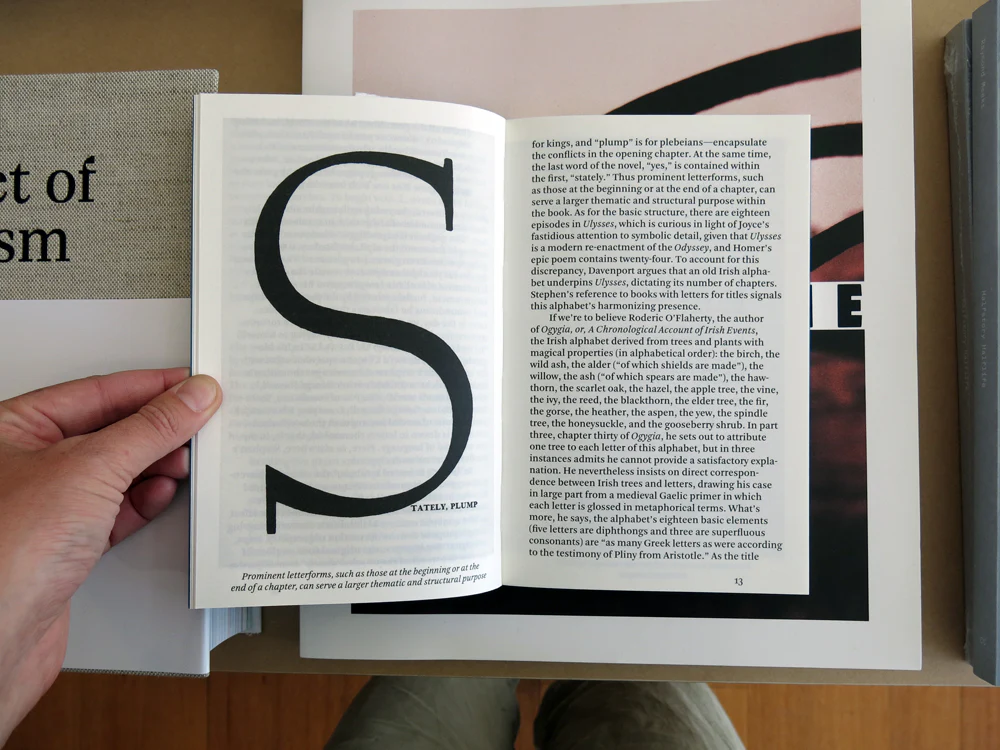 Louis Luthi - A Die With Twenty-Six Faces - Image 3
