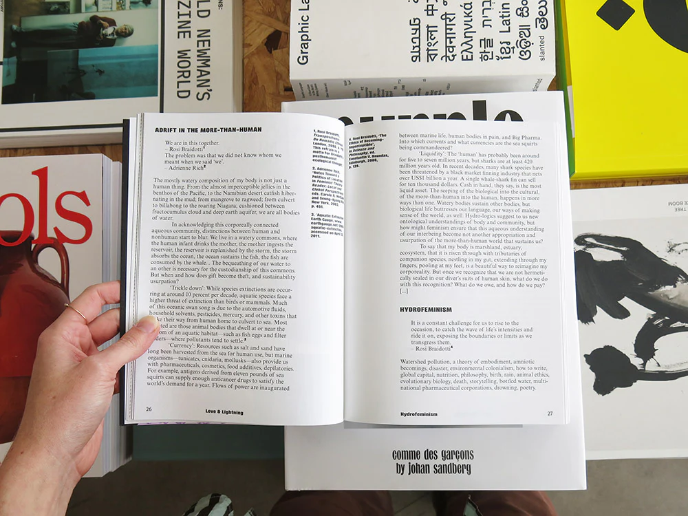 Love & Lightning: A Collection of Queer and Feminist Manifestos - Image 3