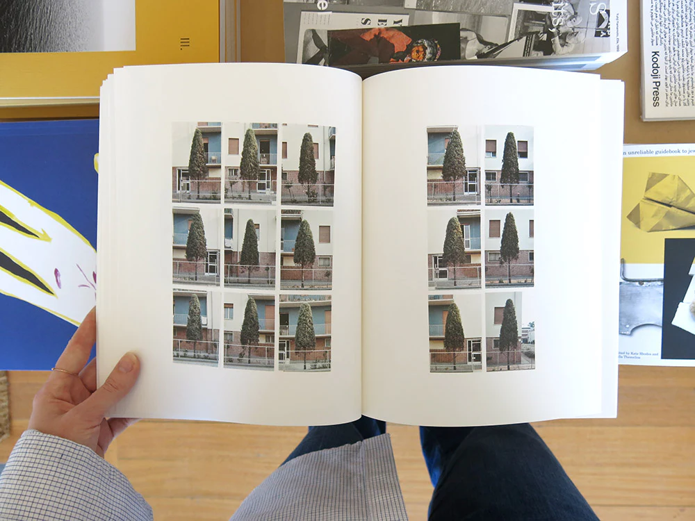 Luigi Ghirri â Colazione sull'Erba - Image 6
