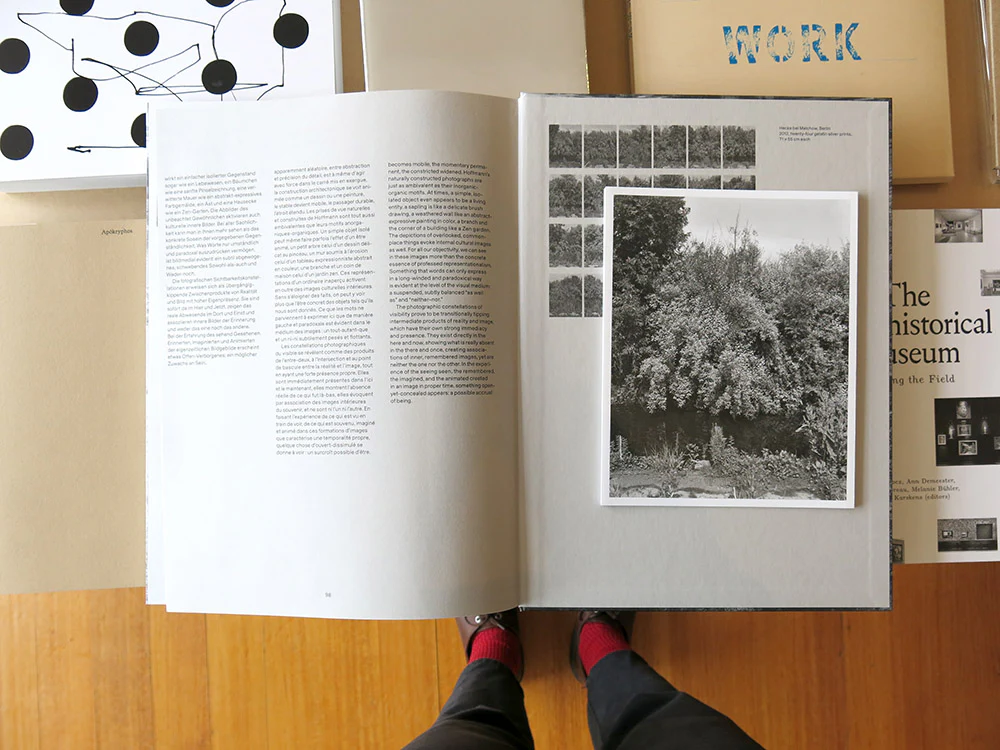 Lukas Hoffmann – Untitled Overgrowth - Image 6