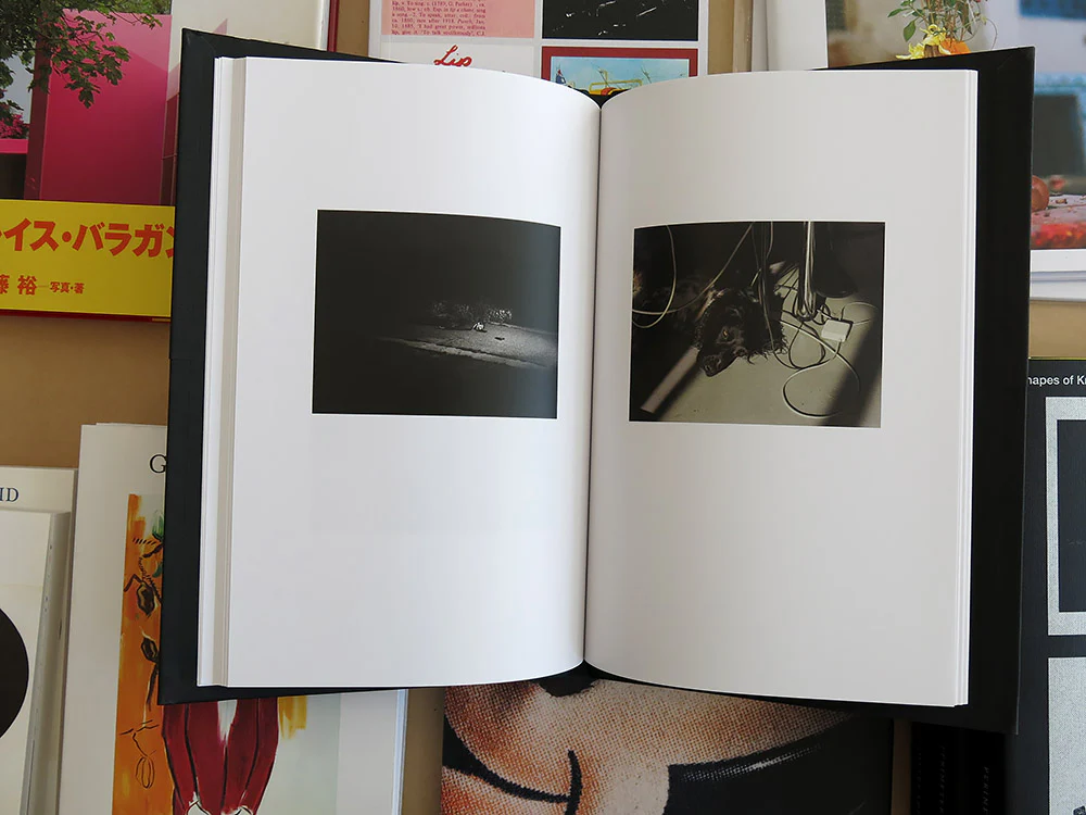 Lukas Wassman - W - Image 7