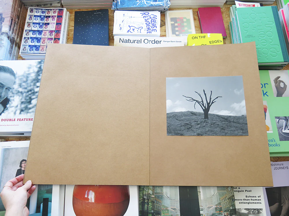 Mark Armijo McKnight – Posthume - Image 4