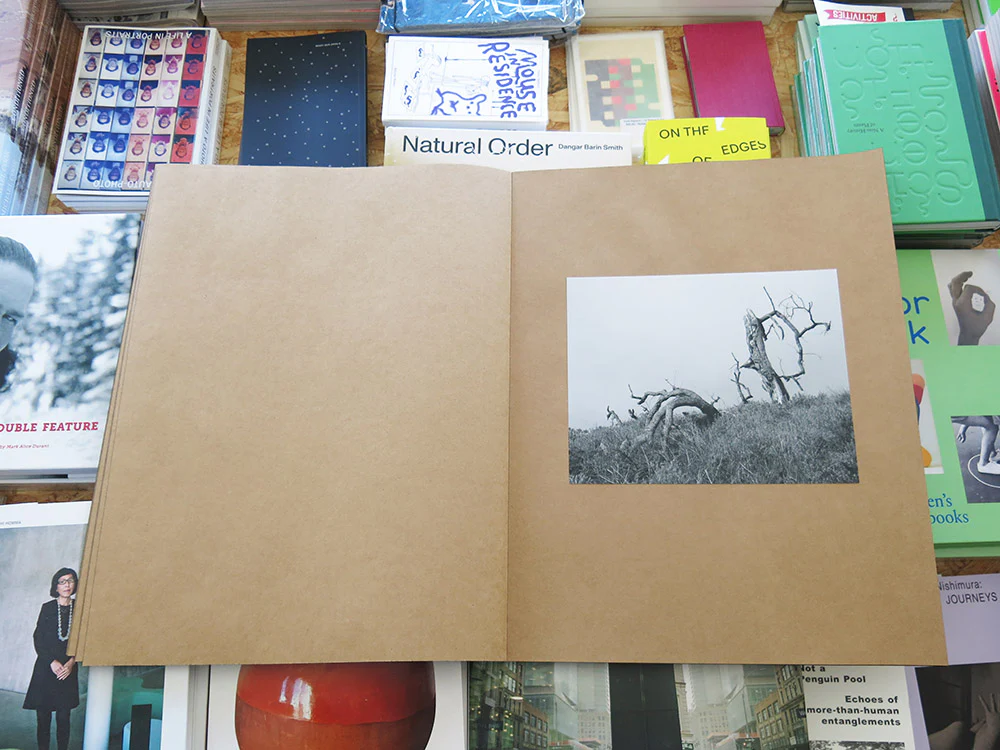 Mark Armijo McKnight – Posthume - Image 6