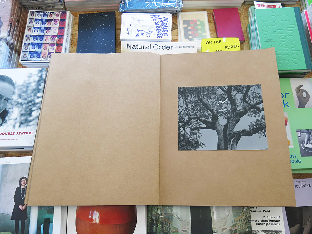 Mark Armijo McKnight – Posthume - Image 8