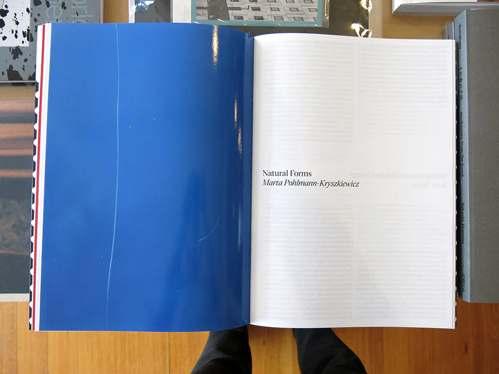 Marta Pohlmann-Kryszkiewicz – Natural Forms - Image 5
