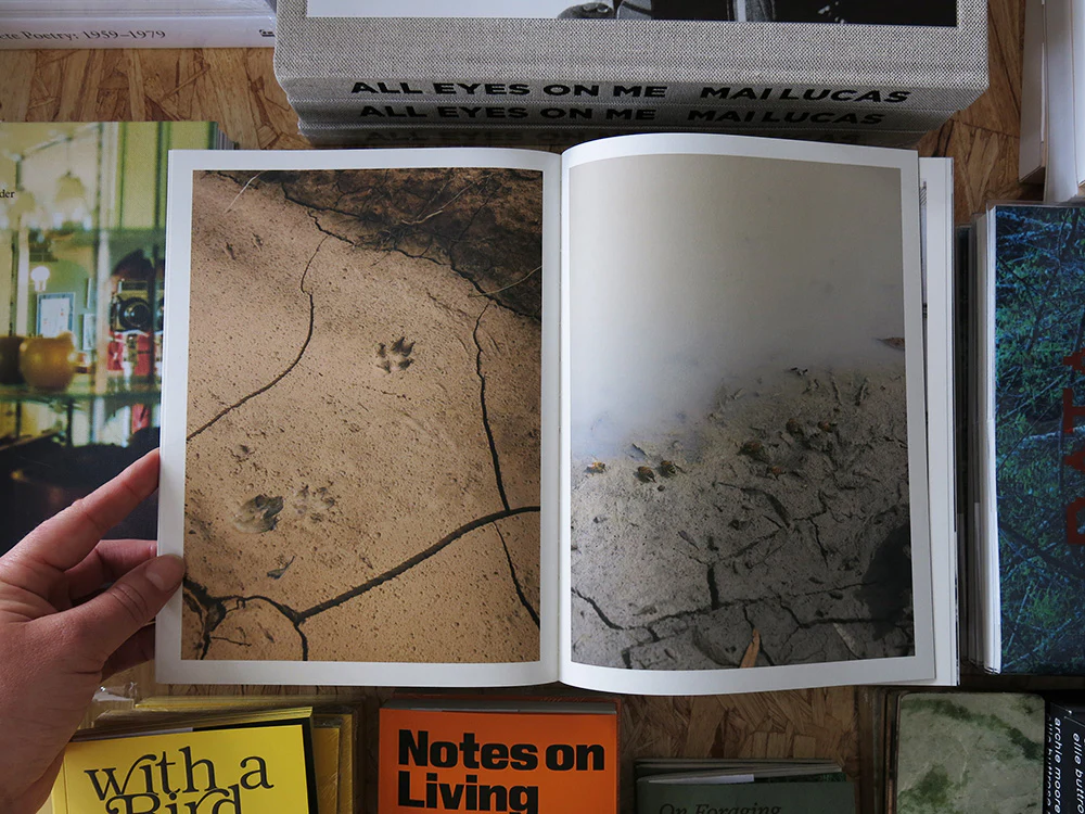 Matt Dunne – Ten Eighty - Image 5
