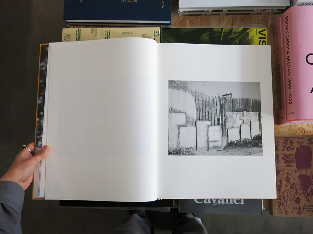 Matthew Genitempo – Dogbreath - Image 12