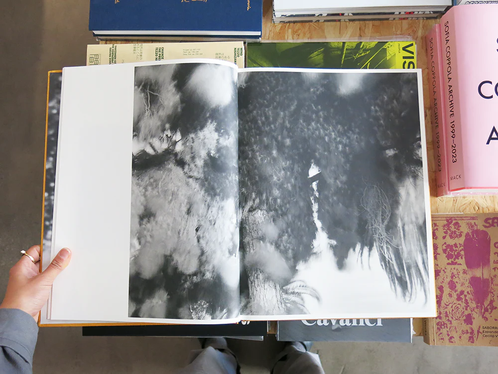 Matthew Genitempo – Dogbreath - Image 5