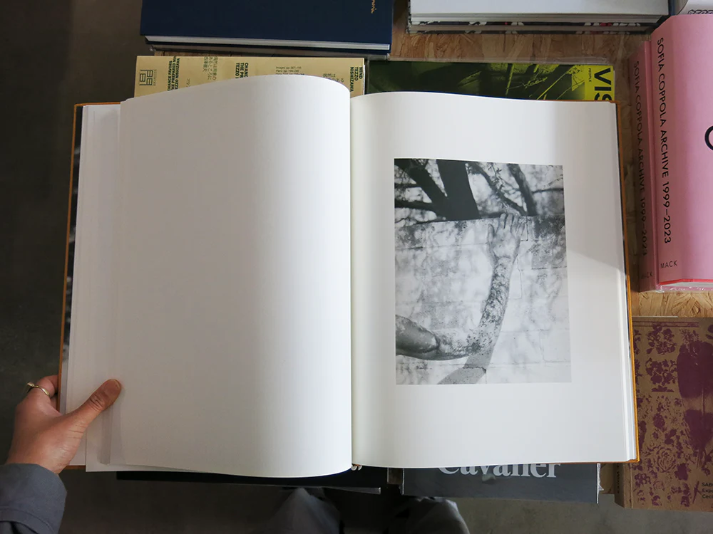 Matthew Genitempo – Dogbreath - Image 7