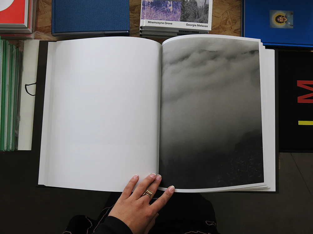 Matthew Genitempo – Jasper - Image 4