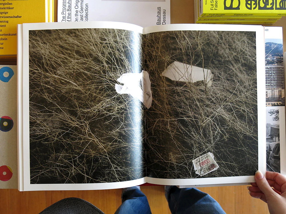 Maude Arsenault â Entangled - Image 7
