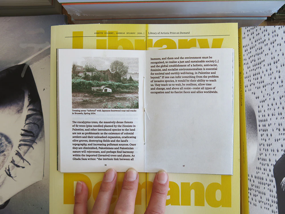 PRE-ORDER: Melon 1: On Foraging in Palestine, Japan & Maastricht - Image 5