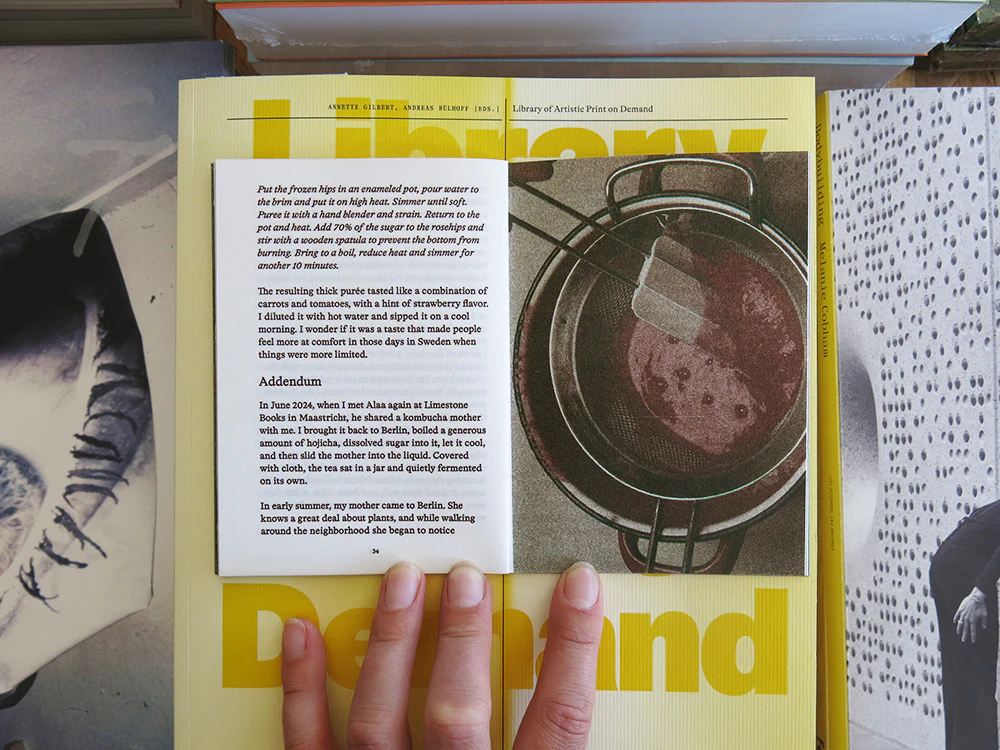 PRE-ORDER: Melon 1: On Foraging in Palestine, Japan & Maastricht - Image 7