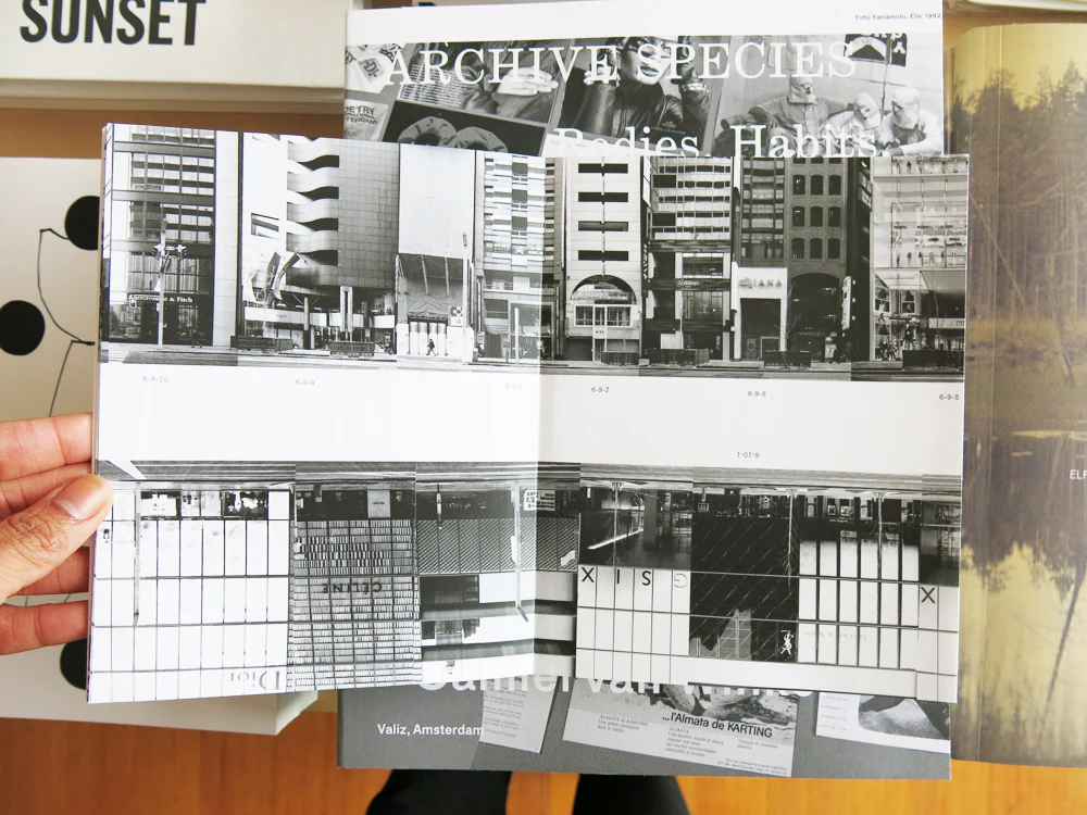 Michalis Pichler â Every Building on the Ginza Strip / Ginza Haccho - Image 3