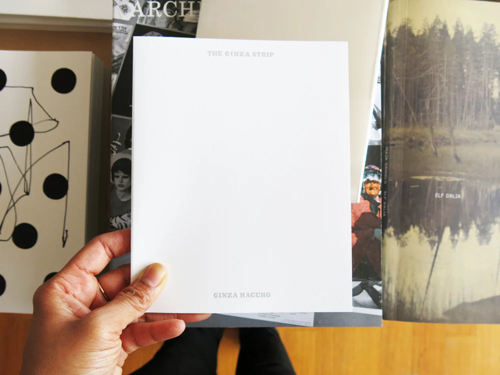 Michalis Pichler â Every Building on the Ginza Strip / Ginza Haccho - Image 4