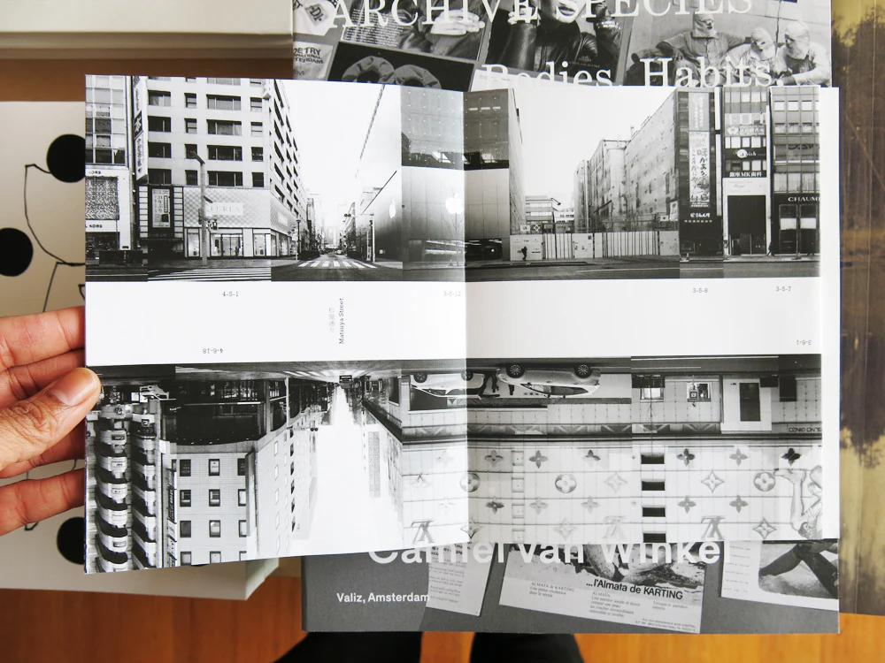 Michalis Pichler â Every Building on the Ginza Strip / Ginza Haccho - Image 6