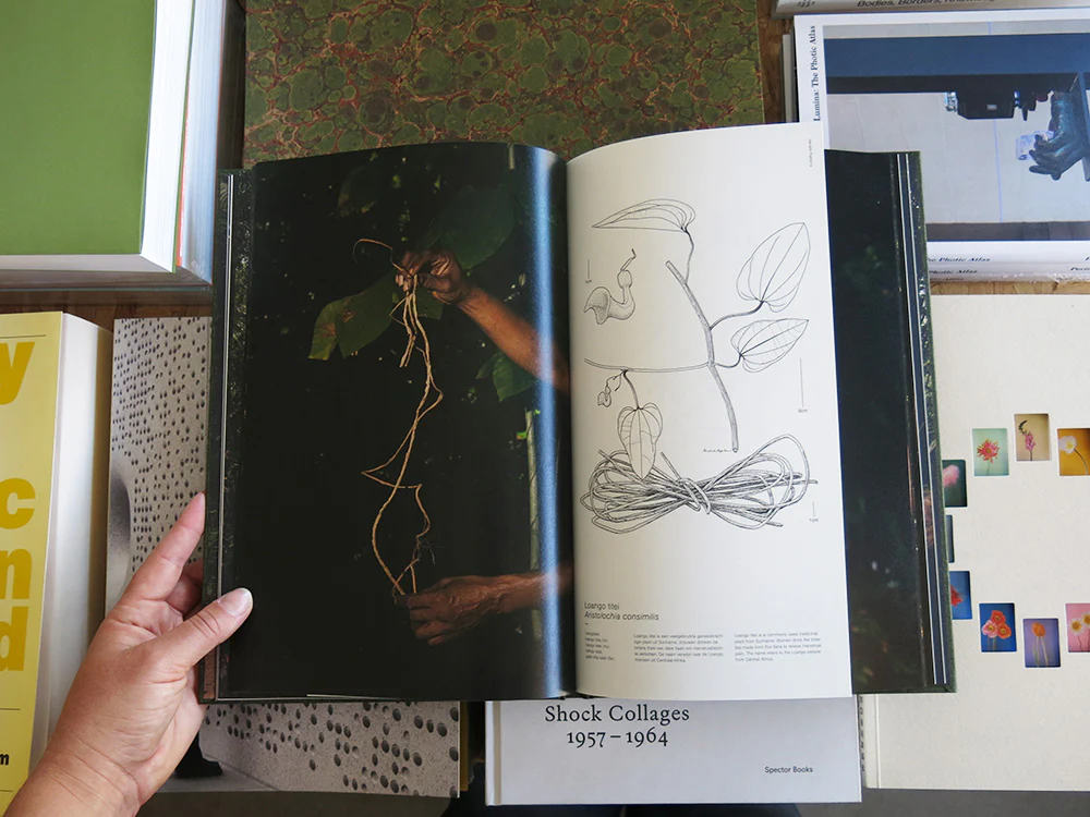 Michelle Piergoelam – Fourteen Leaves and a Cup of Water - Image 6