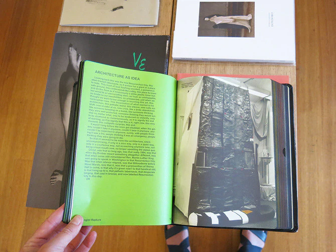 Mongrel Rapture: The Architecture of Ashton Raggatt McDougall - Image 7