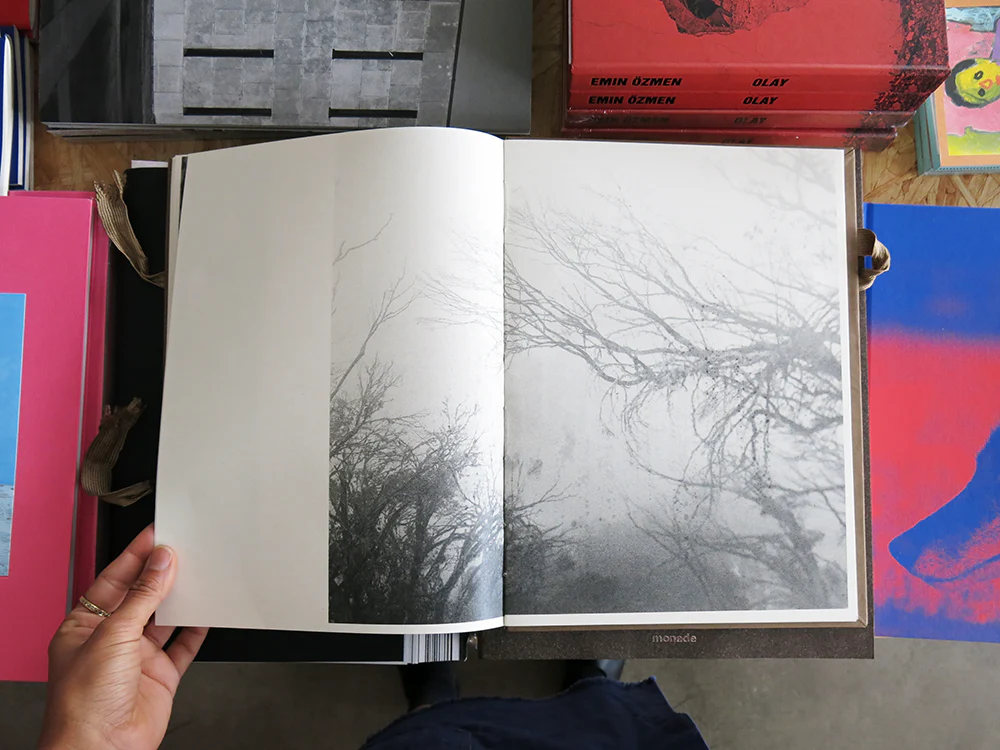 Morganna Magee – Phenomena - Image 2