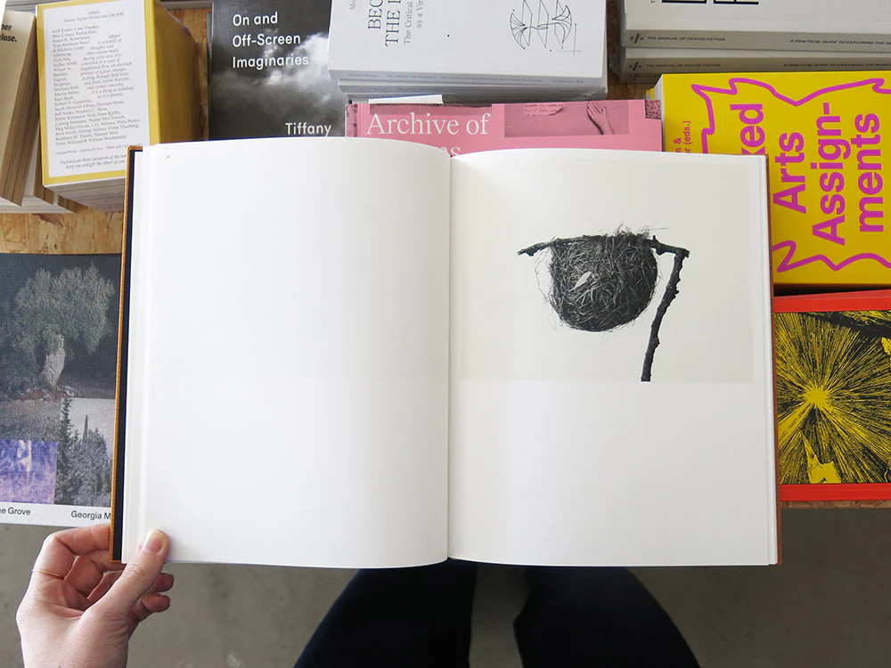 PRE-ORDER: Nathalie Baetens – On Birds (Des oiseaux) - Image 5
