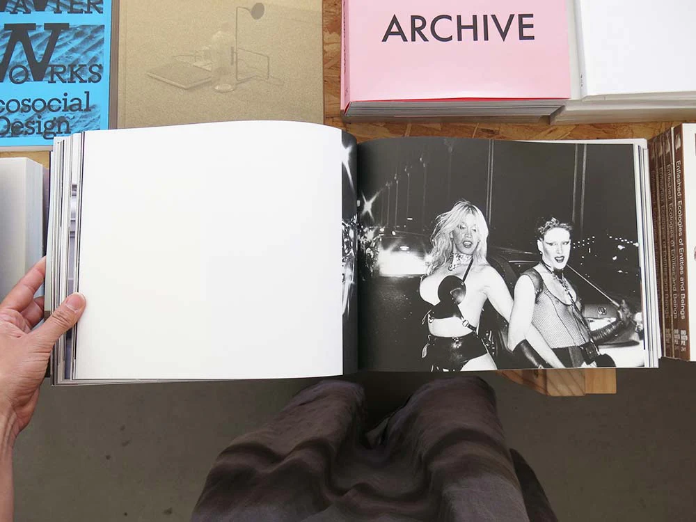 Nick Haymes – Dancing on the Fault Line - Image 8