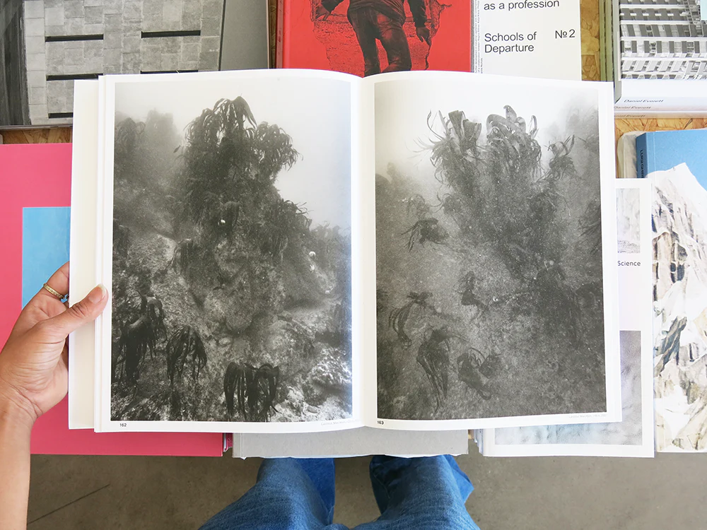 PRE-ORDER: Nicolas Floc’h – Initium Maris - Image 8