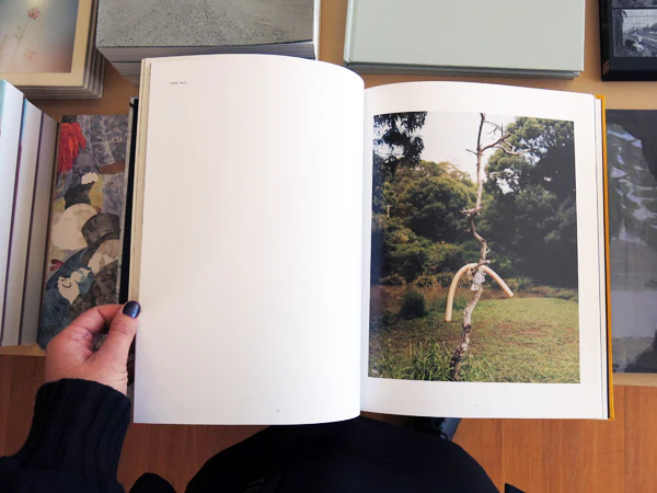 Palm Book - Image 5