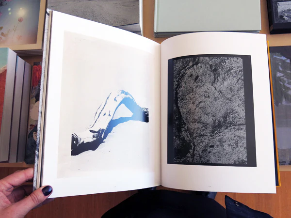 Palm Book - Image 7