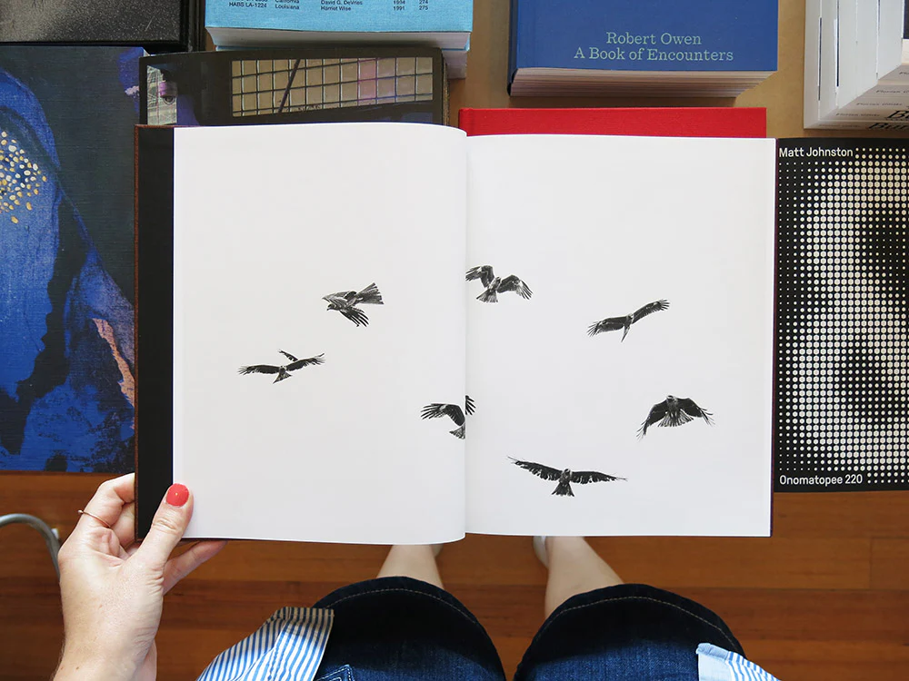 Paolo Pellegrin – On Birds (Des oiseaux) - Image 2