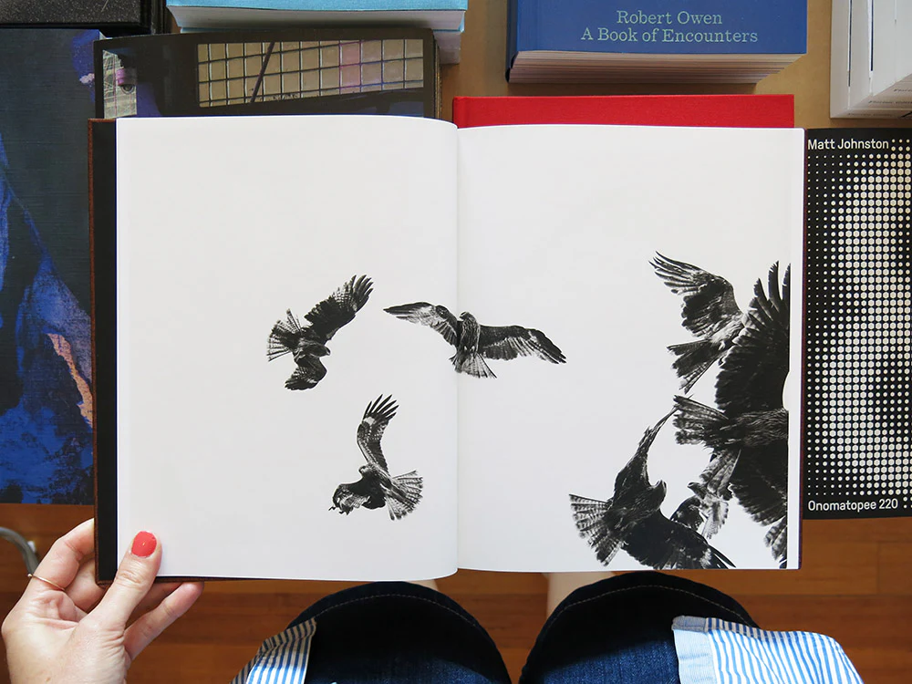 Paolo Pellegrin – On Birds (Des oiseaux) - Image 3