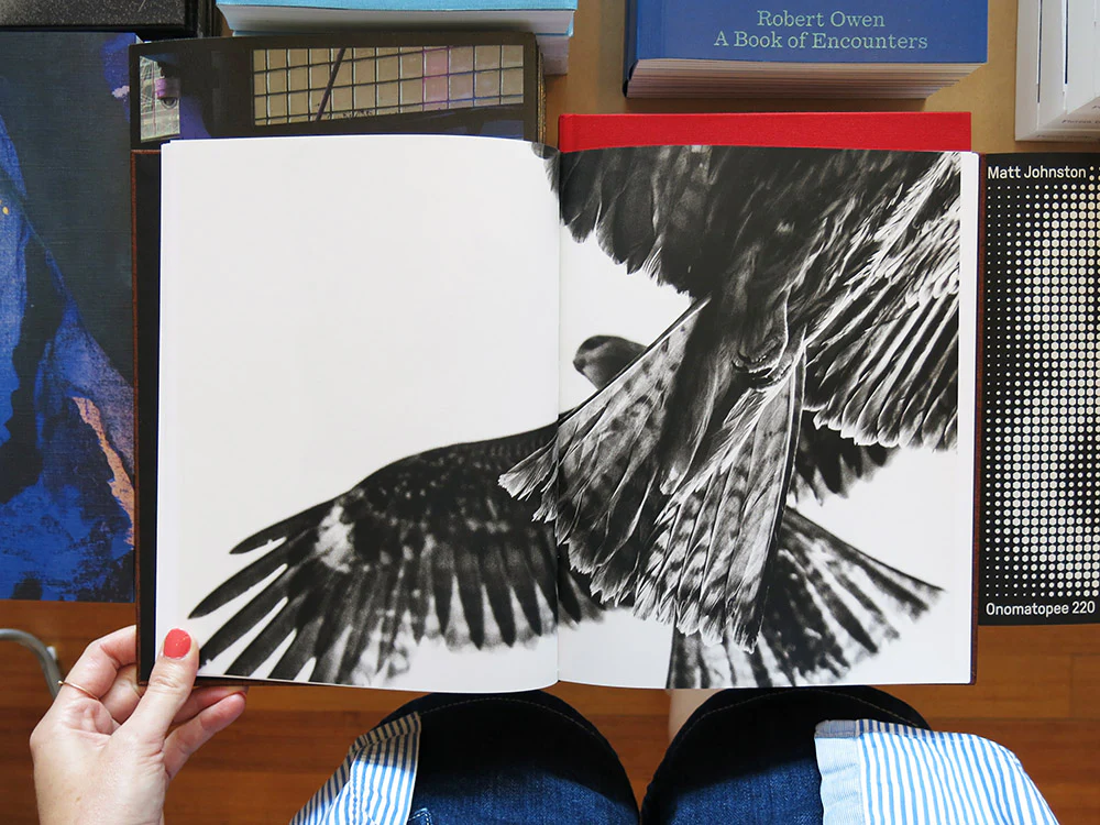 Paolo Pellegrin – On Birds (Des oiseaux) - Image 5