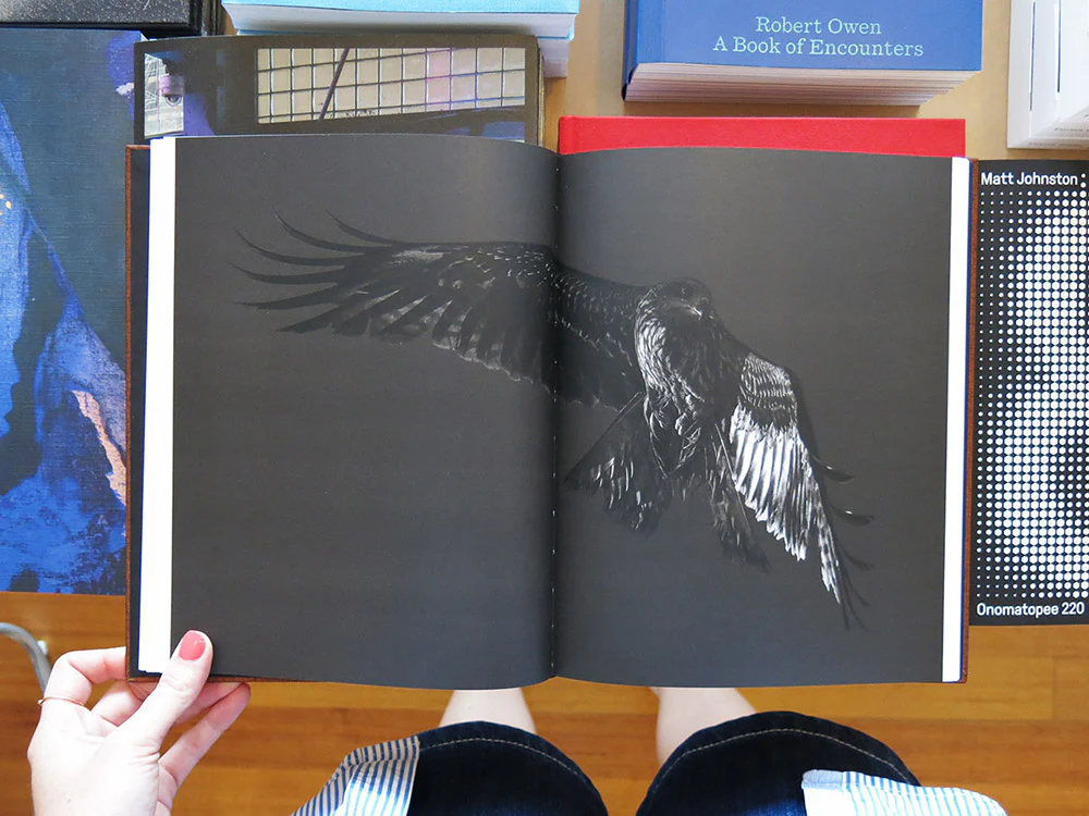 Paolo Pellegrin – On Birds (Des oiseaux) - Image 6