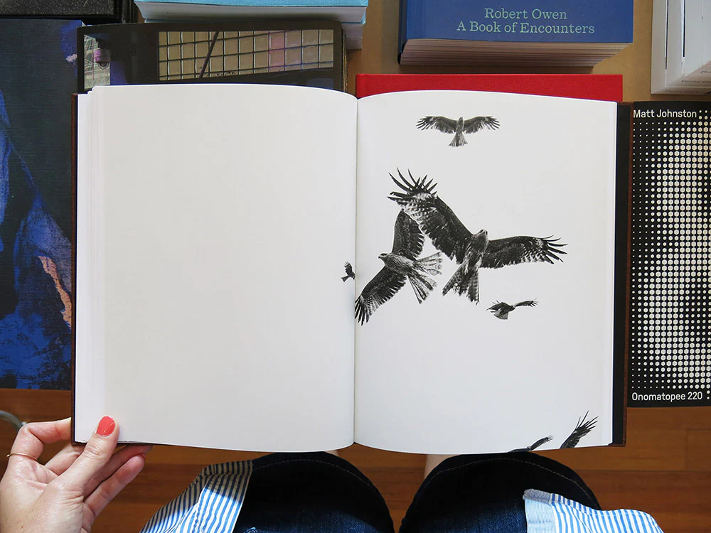 Paolo Pellegrin – On Birds (Des oiseaux) - Image 7