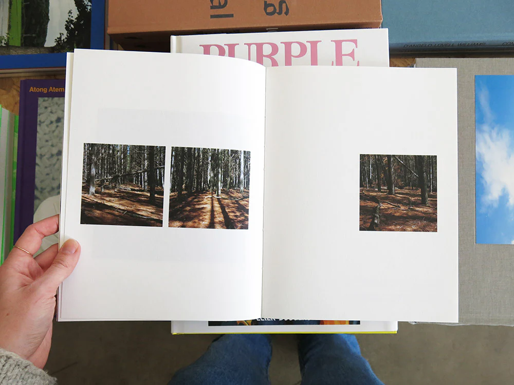 Paul McDonald – Study of Self - Image 4