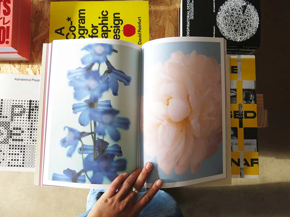 Paula Codoner – The Chromatics of Flowers - Image 6