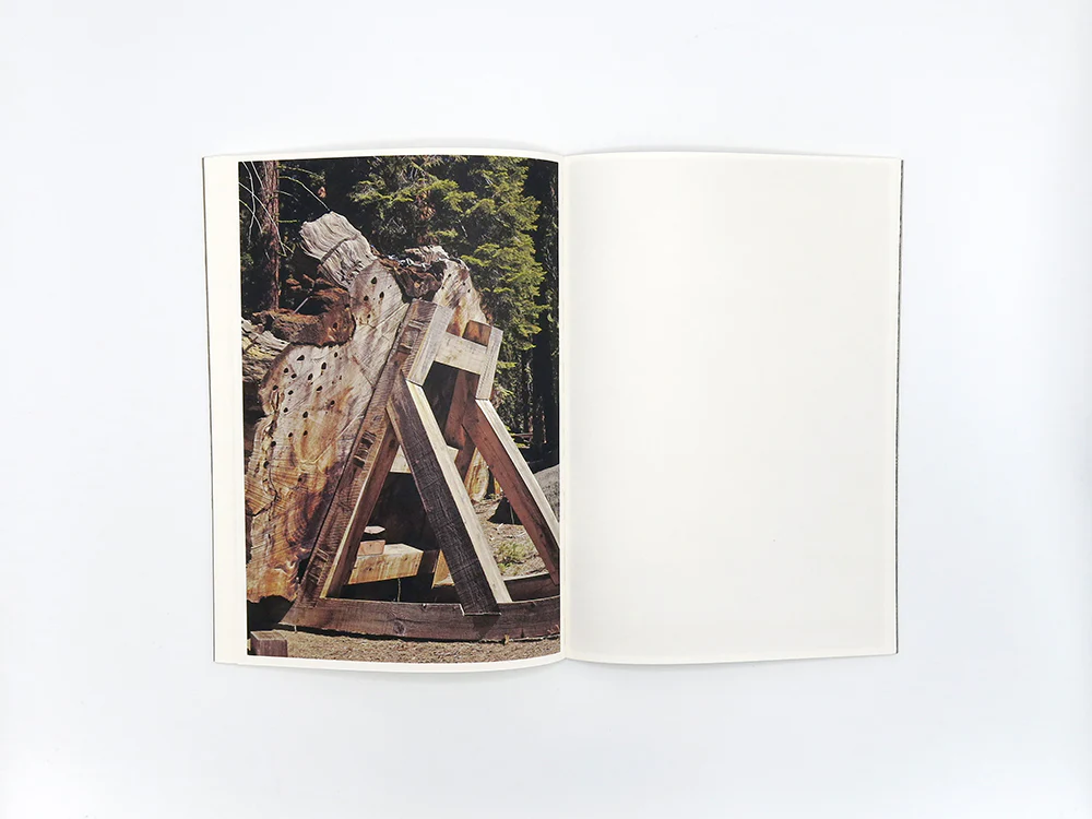 Danielle Mericle – The Dark Wood - Image 10