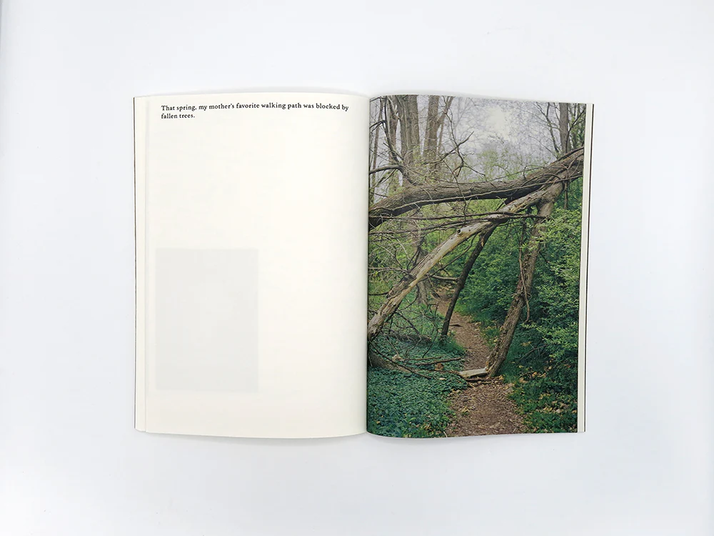Danielle Mericle – The Dark Wood - Image 12