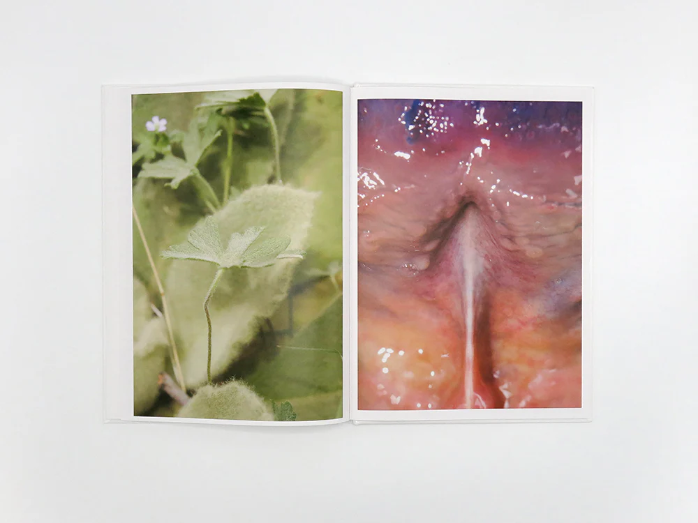 Honey Long and Prue Stent – Drinking From The Eye - Image 8