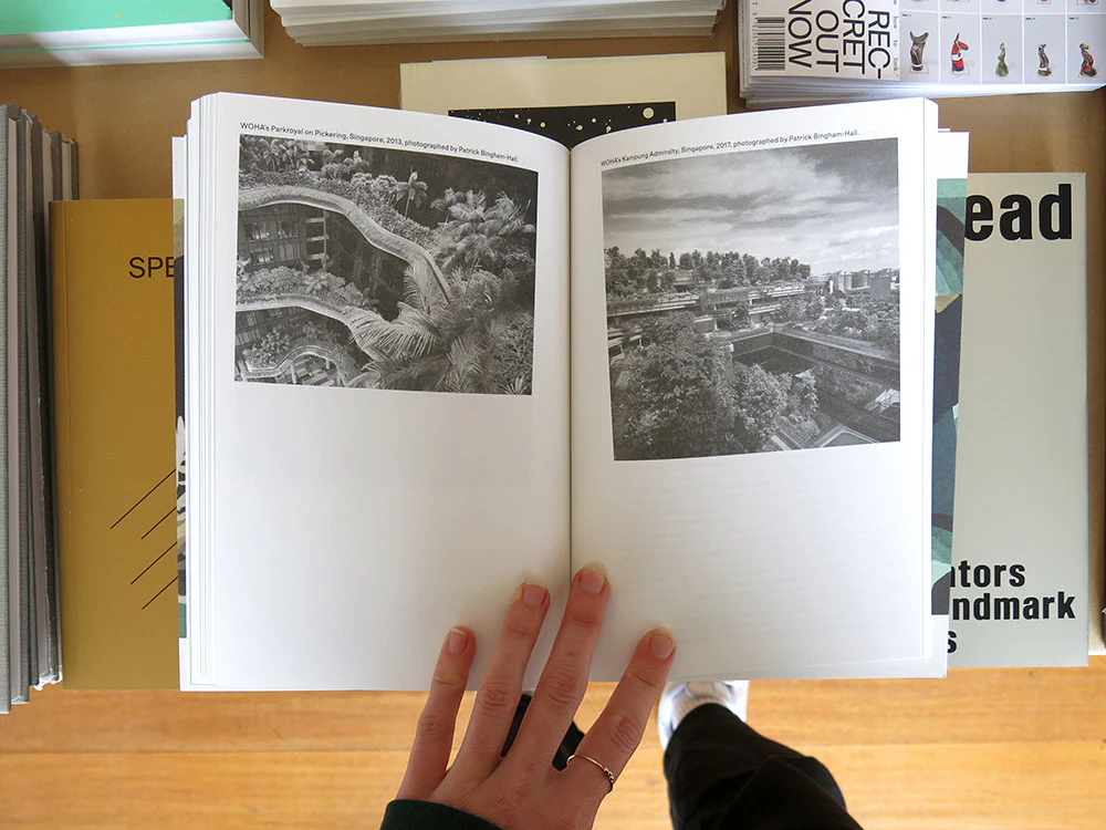 Landscape as Protagonist - Image 8
