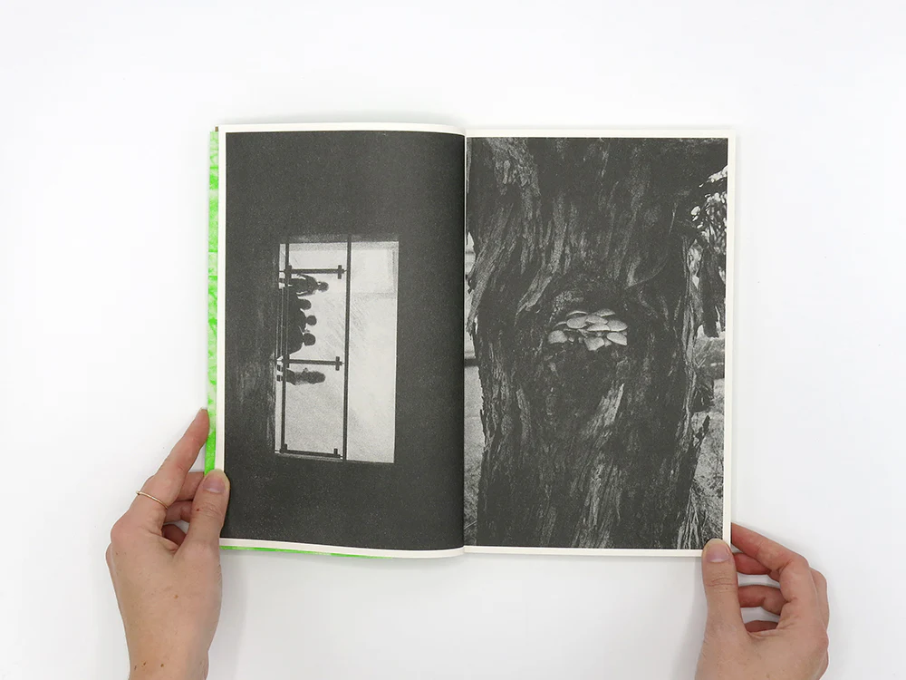 Luke Le – What are you looking for? - Image 3