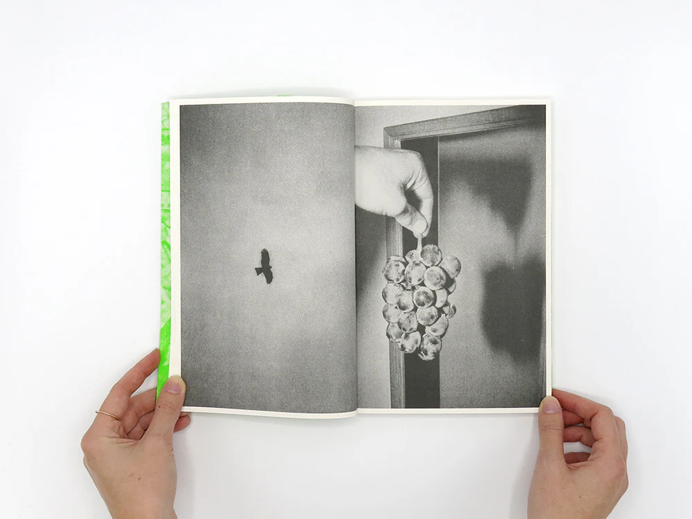 Luke Le – What are you looking for? - Image 4