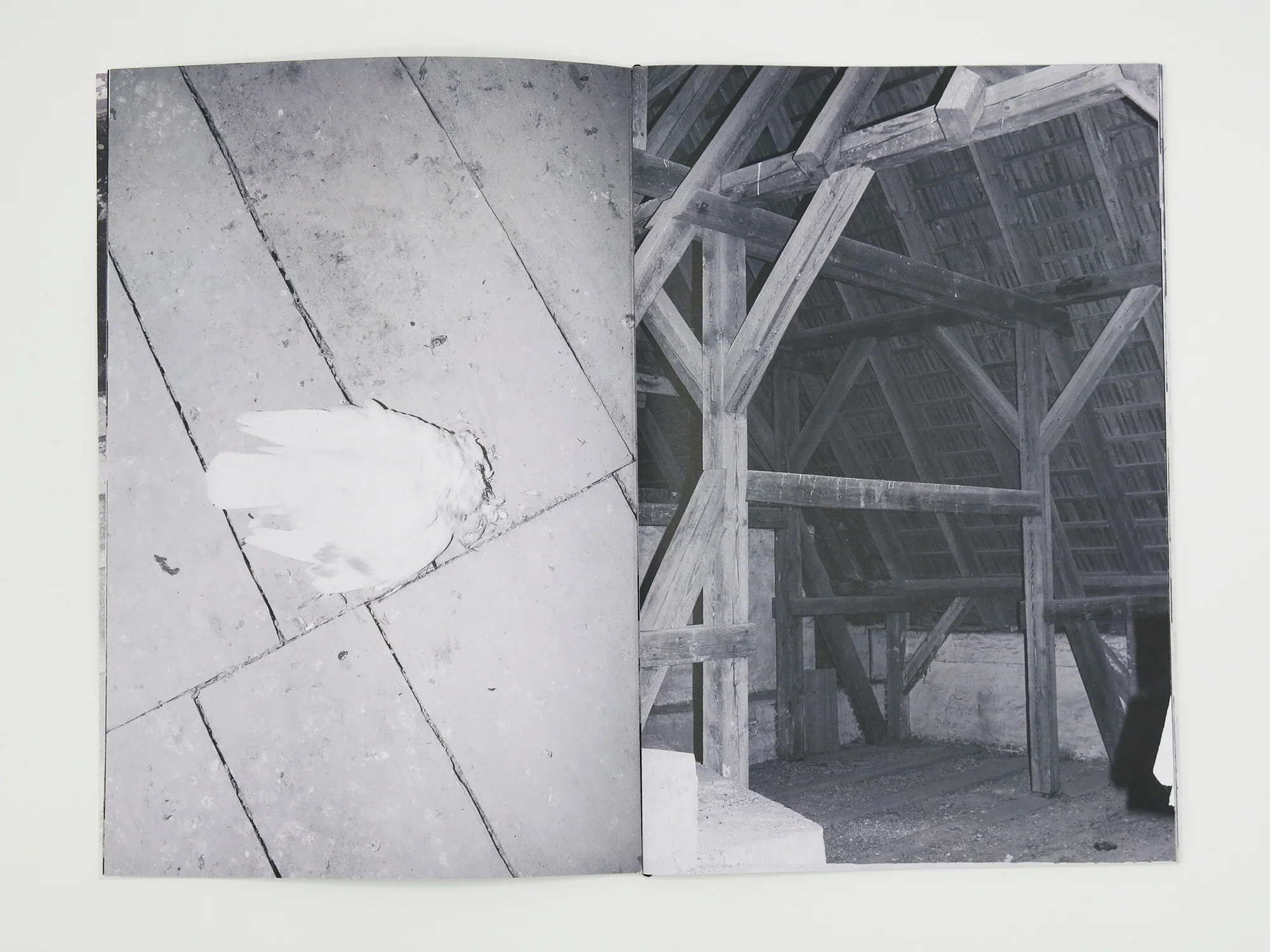Sarah Walker - PelÄi Manor - Image 4