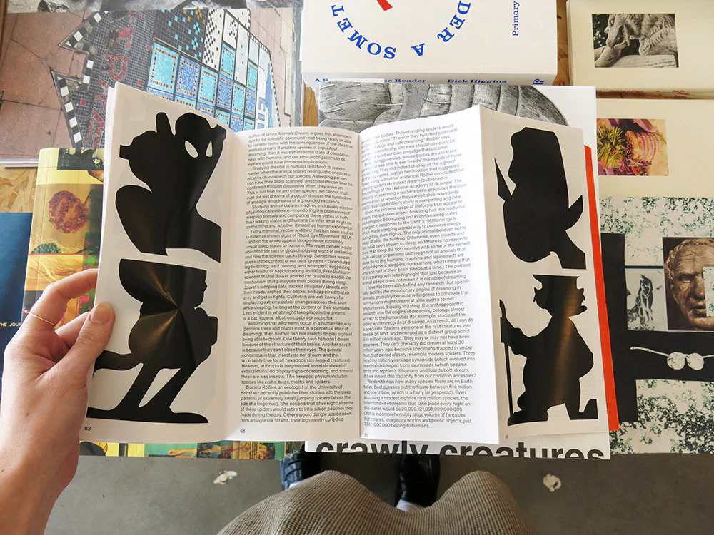 Real Review 13 - Image 7