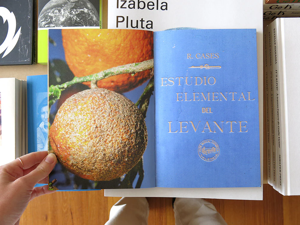 Ricardo Cases – Estudio elemental del Levante - Image 2