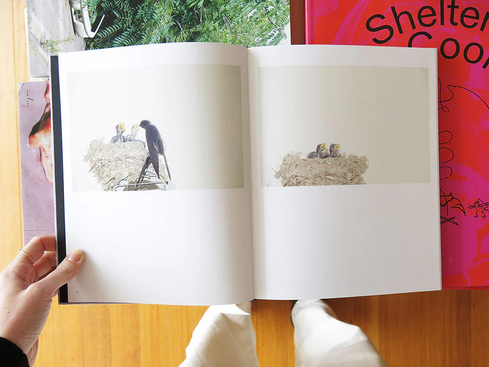 Rinko Kawauchi – On Birds (Des oiseaux) - Image 2