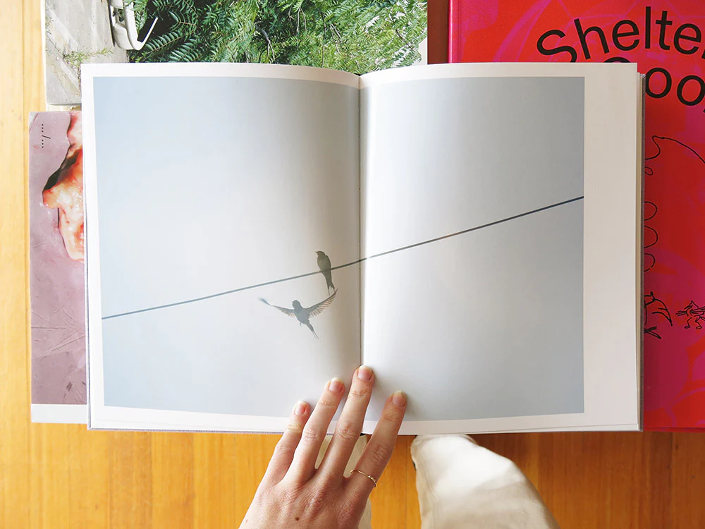 Rinko Kawauchi – On Birds (Des oiseaux) - Image 5