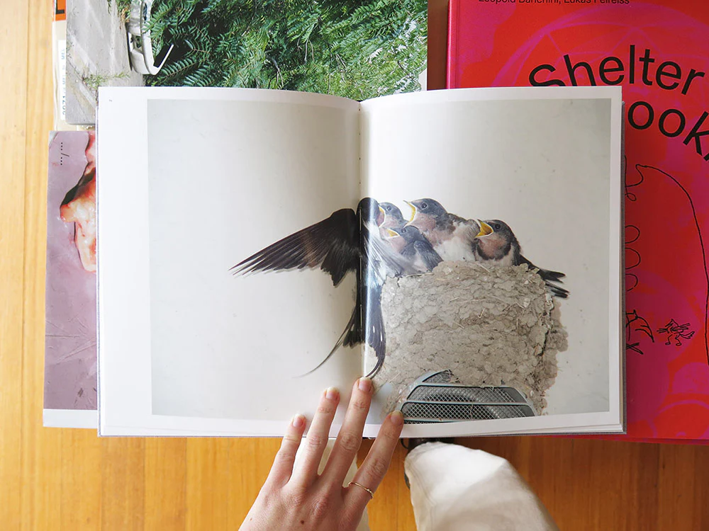 Rinko Kawauchi – On Birds (Des oiseaux) - Image 8