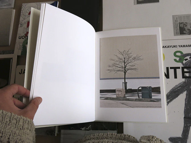 Rohan Hutchinson - a brief stroll whilst inspecting architecture - Image 5