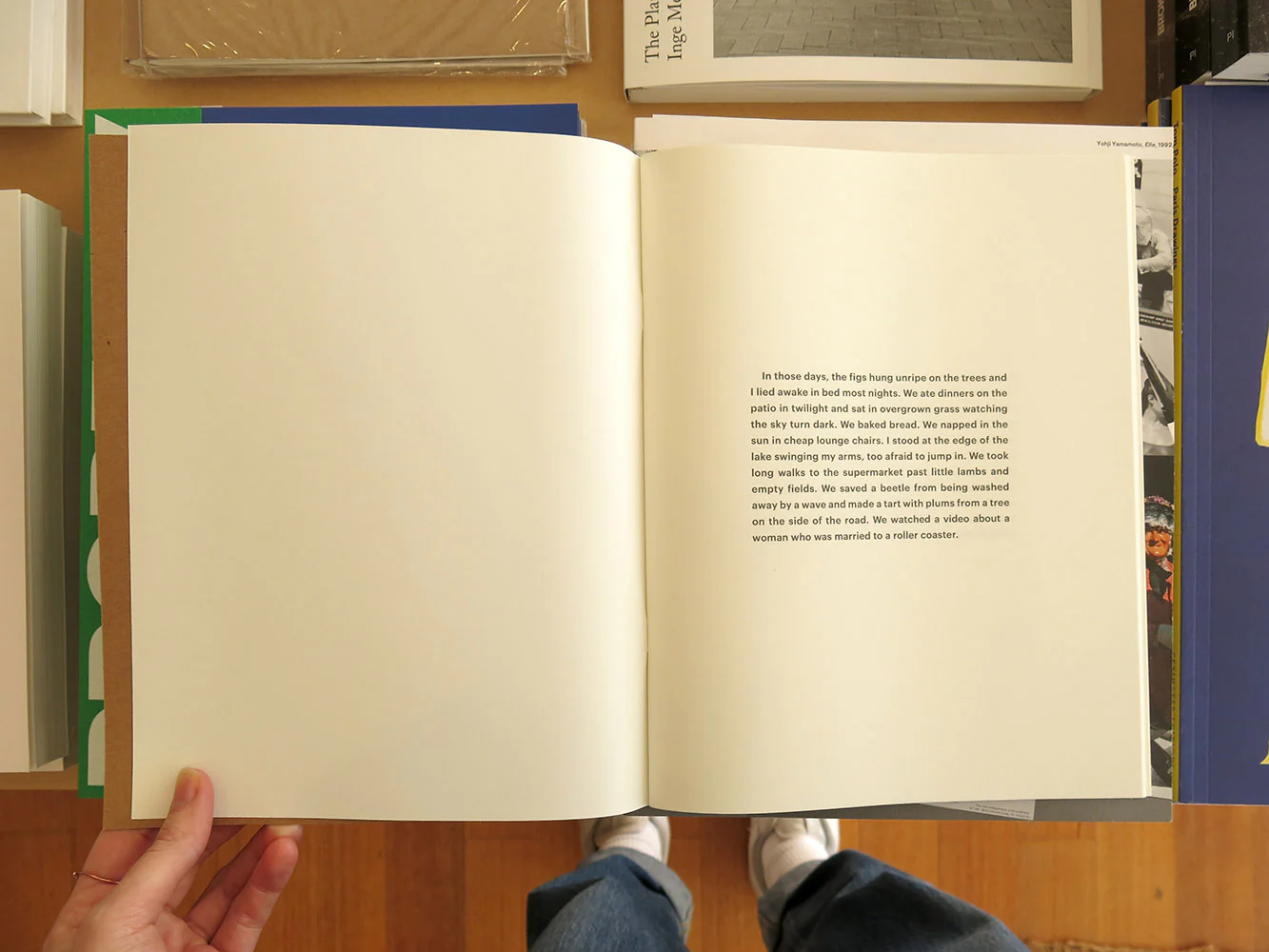 Sarah Schneider – No Fish - Image 2
